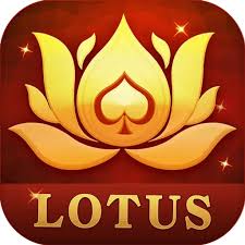 rummy 51 app download